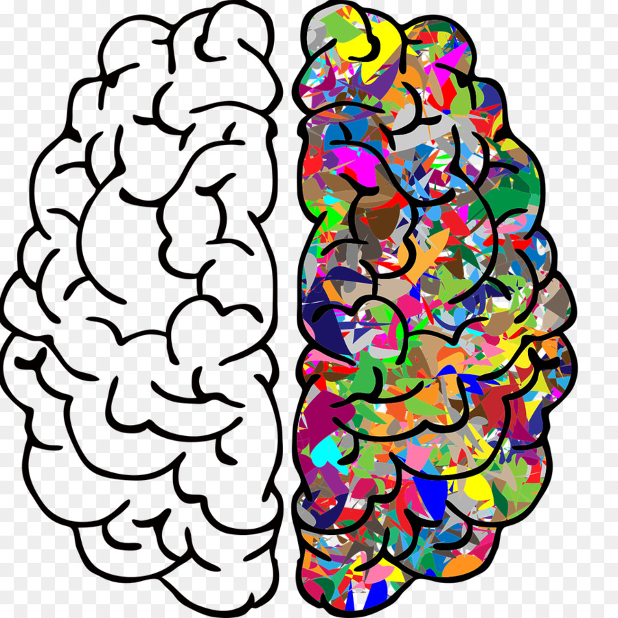 Cerveau Le Cerveau Humain Dessin Png Cerveau Le Cerveau Humain Dessin Transparentes Png Gratuit