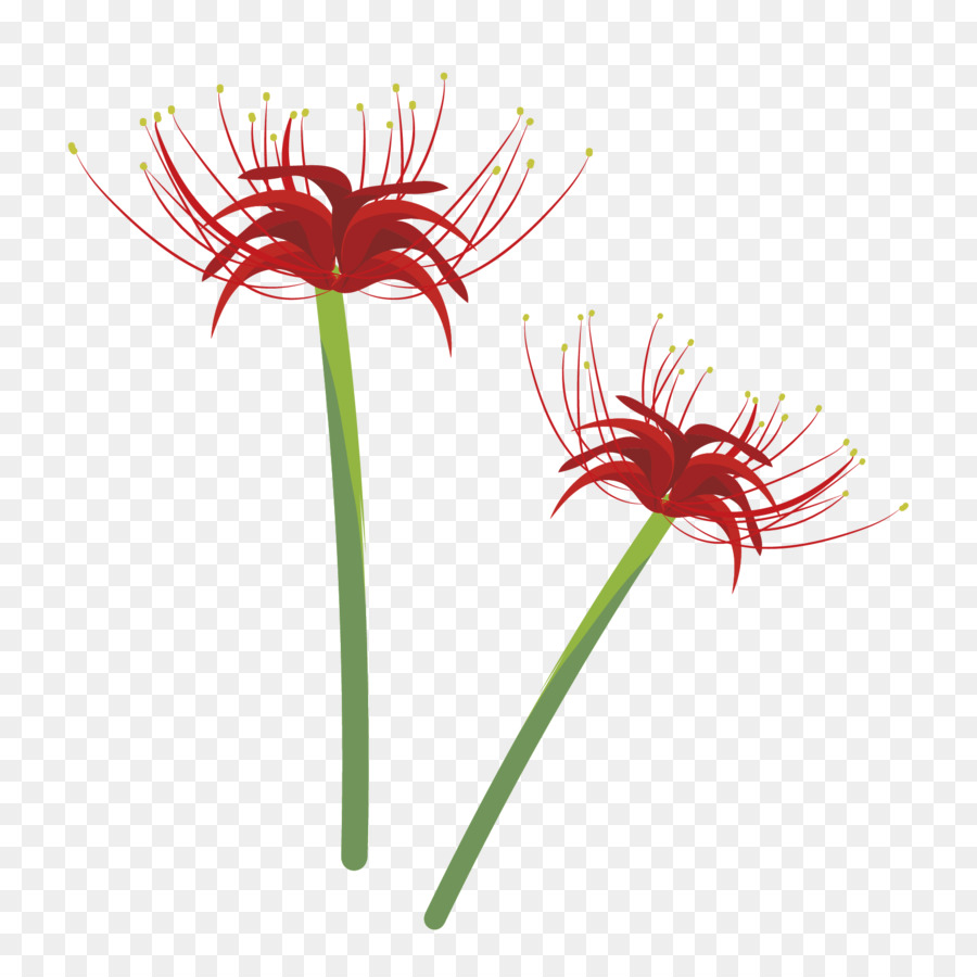 Fleurs Roses，Fleurs PNG