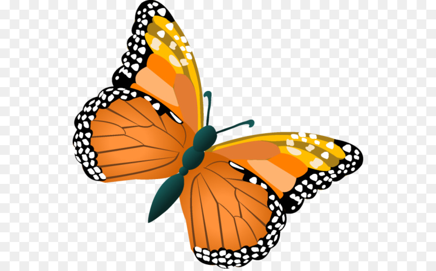 Papillon，Insecte PNG