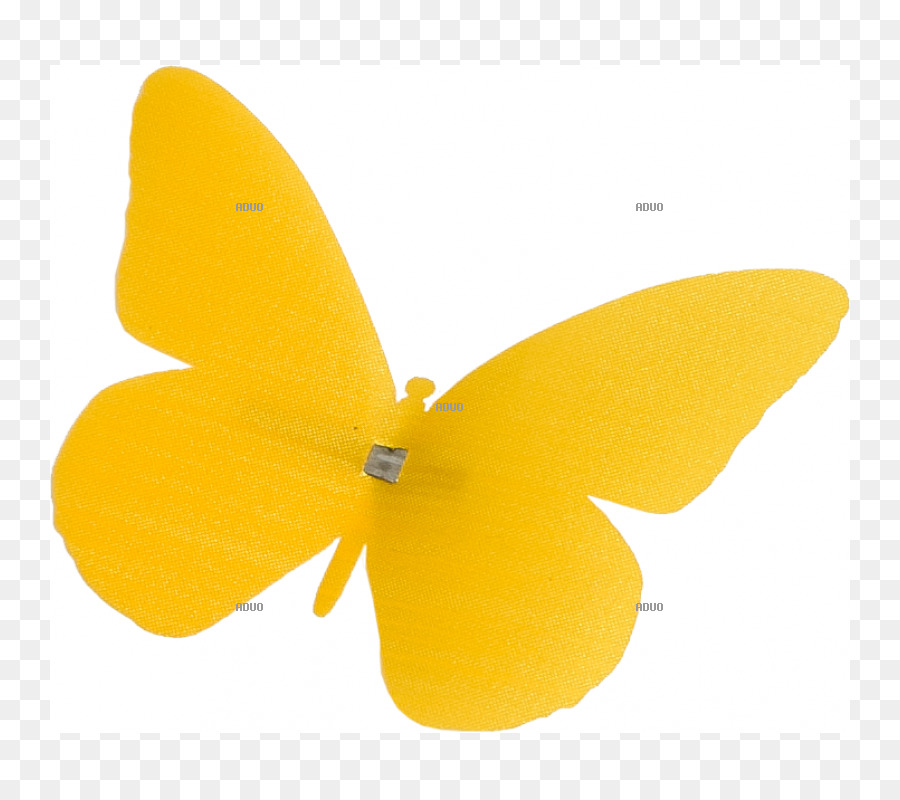 Papillon，M Papillon PNG
