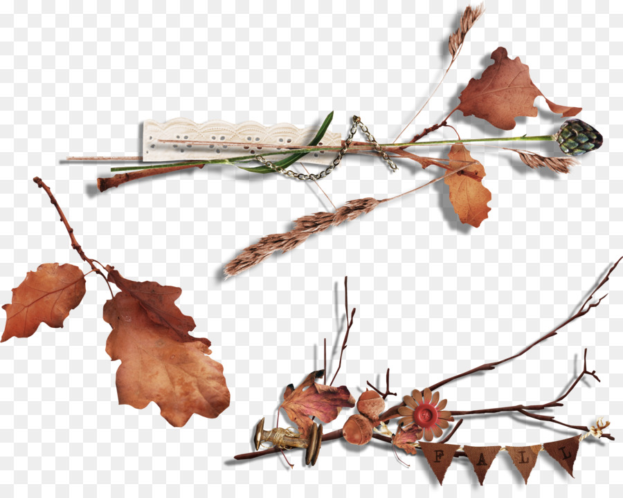 Décorations D'automne，Feuilles PNG