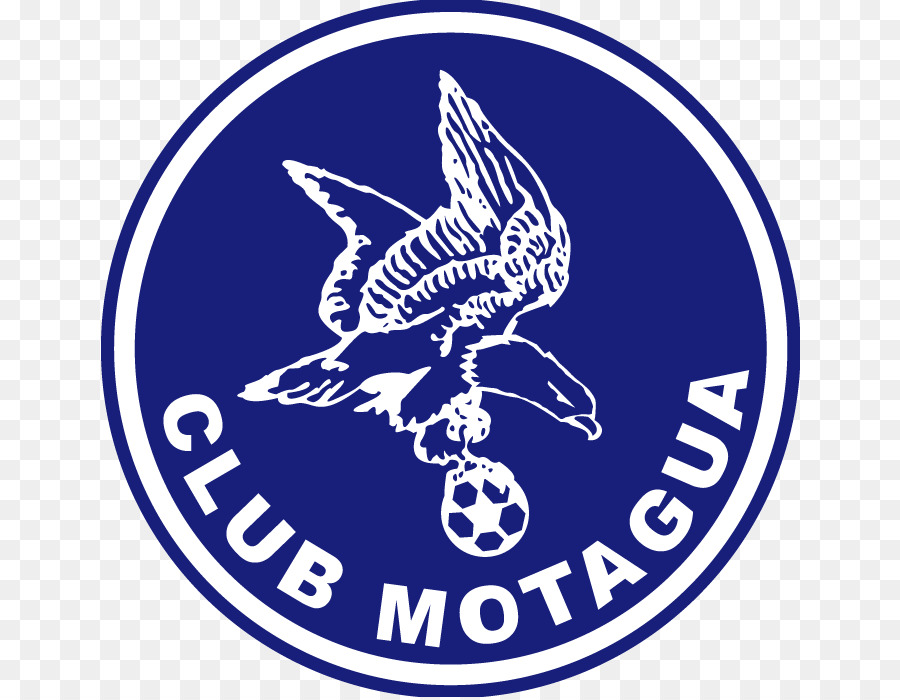 Logo Du Club，Football PNG