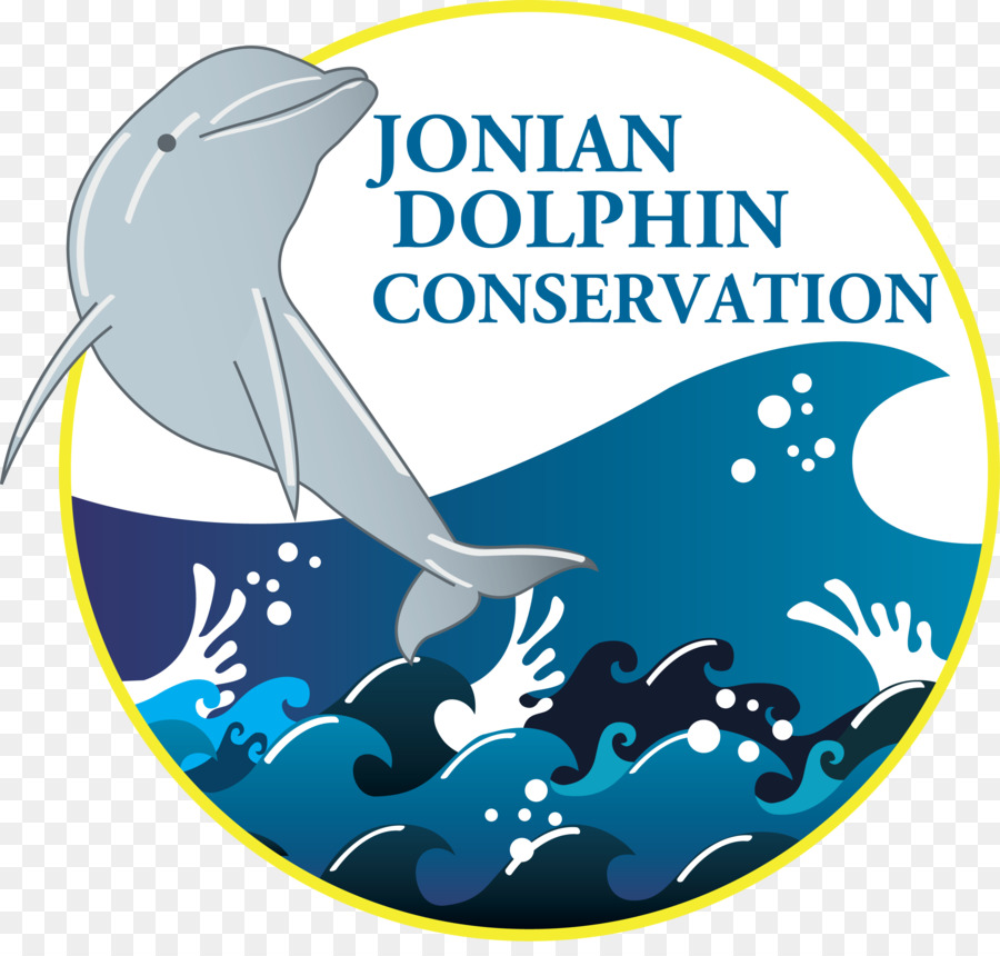 Jonian Pour La Conservation Des Dauphins，Dauphin PNG