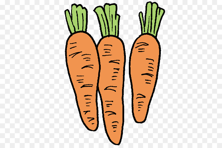 Carottes，Racine PNG