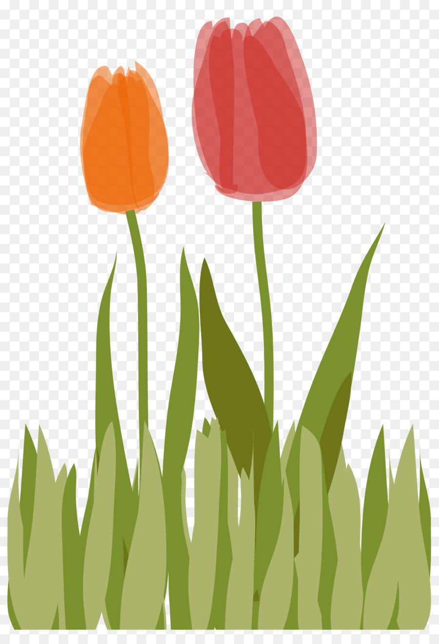 Tulipes，Jardin PNG