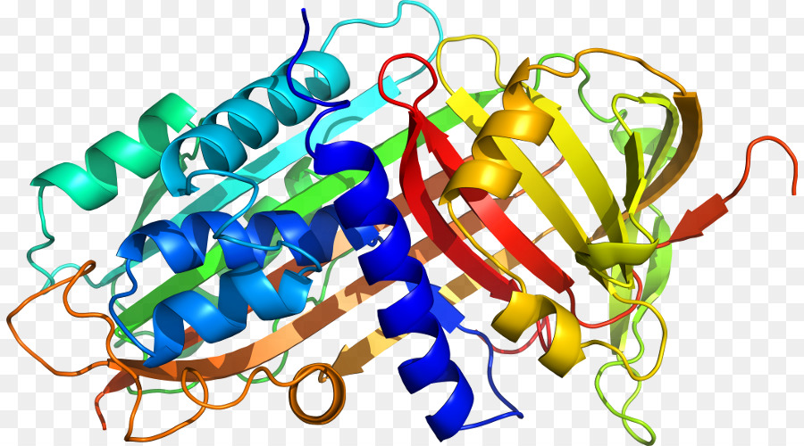 Alpha1proteinase Inhibiteur De，Alpha 1antitrypsin Carence PNG