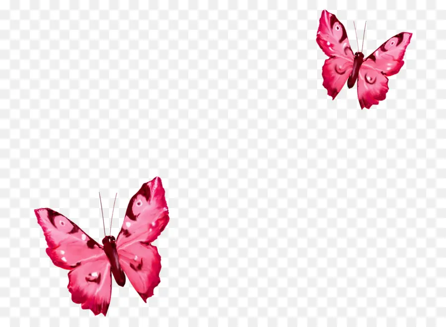 Papillons Violets，Vol PNG