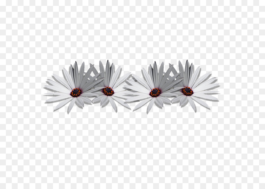 Fleurs，Blanc PNG