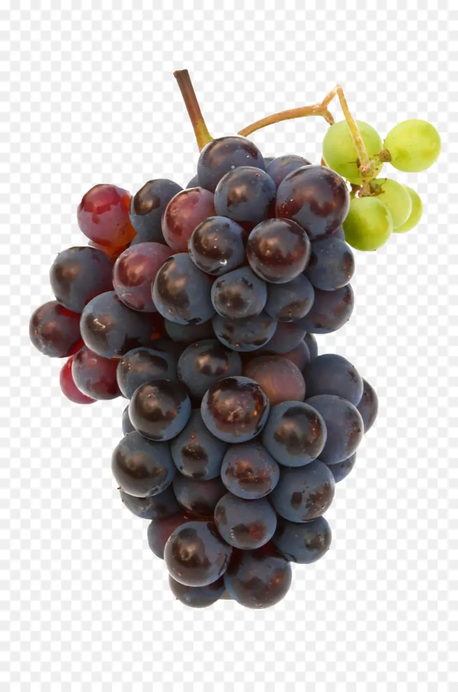 Raisins Rouges，Grappe PNG