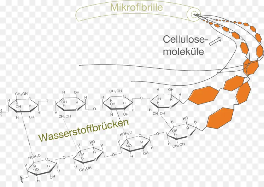 Papier，La Cellulose PNG