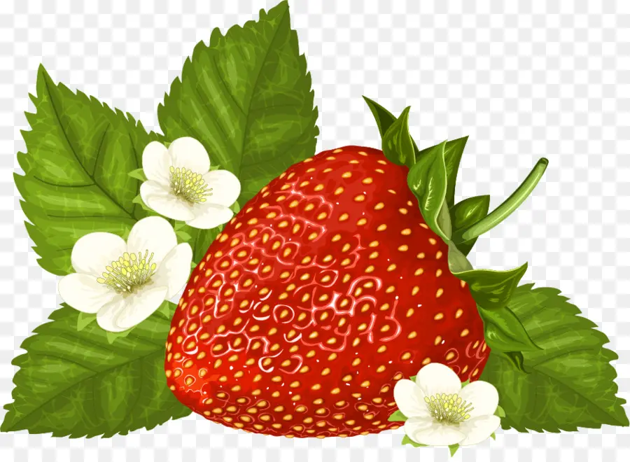 Fraise，Baie PNG