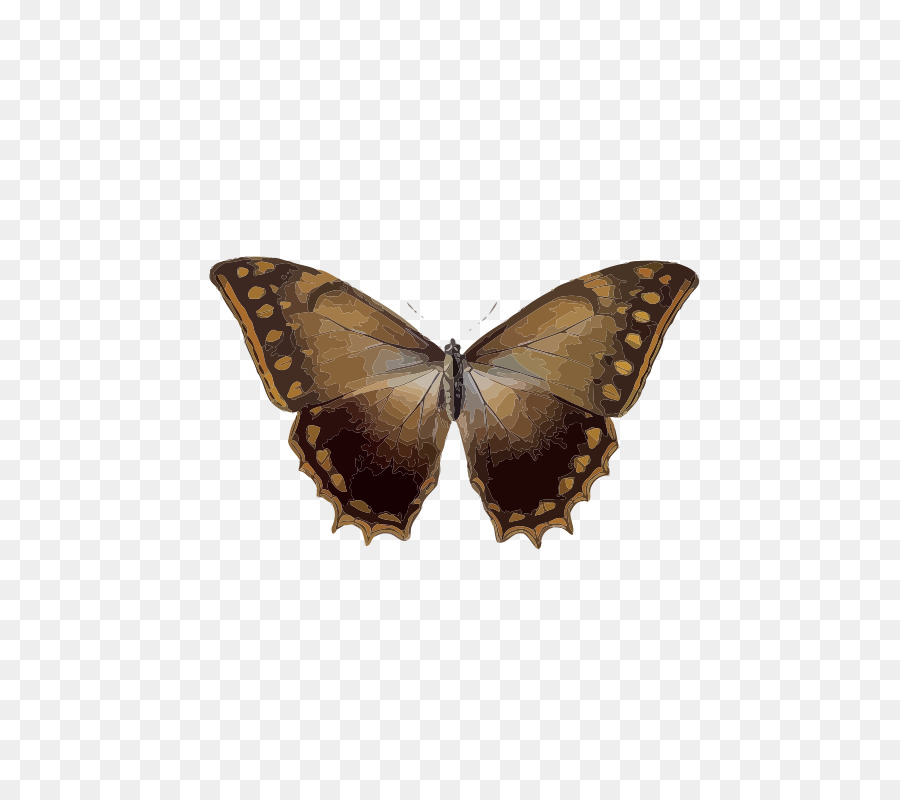 Papillon，Ailes PNG