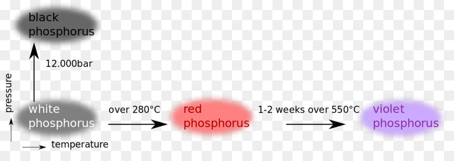 Le Phosphore，Allotropi De Phosphore PNG