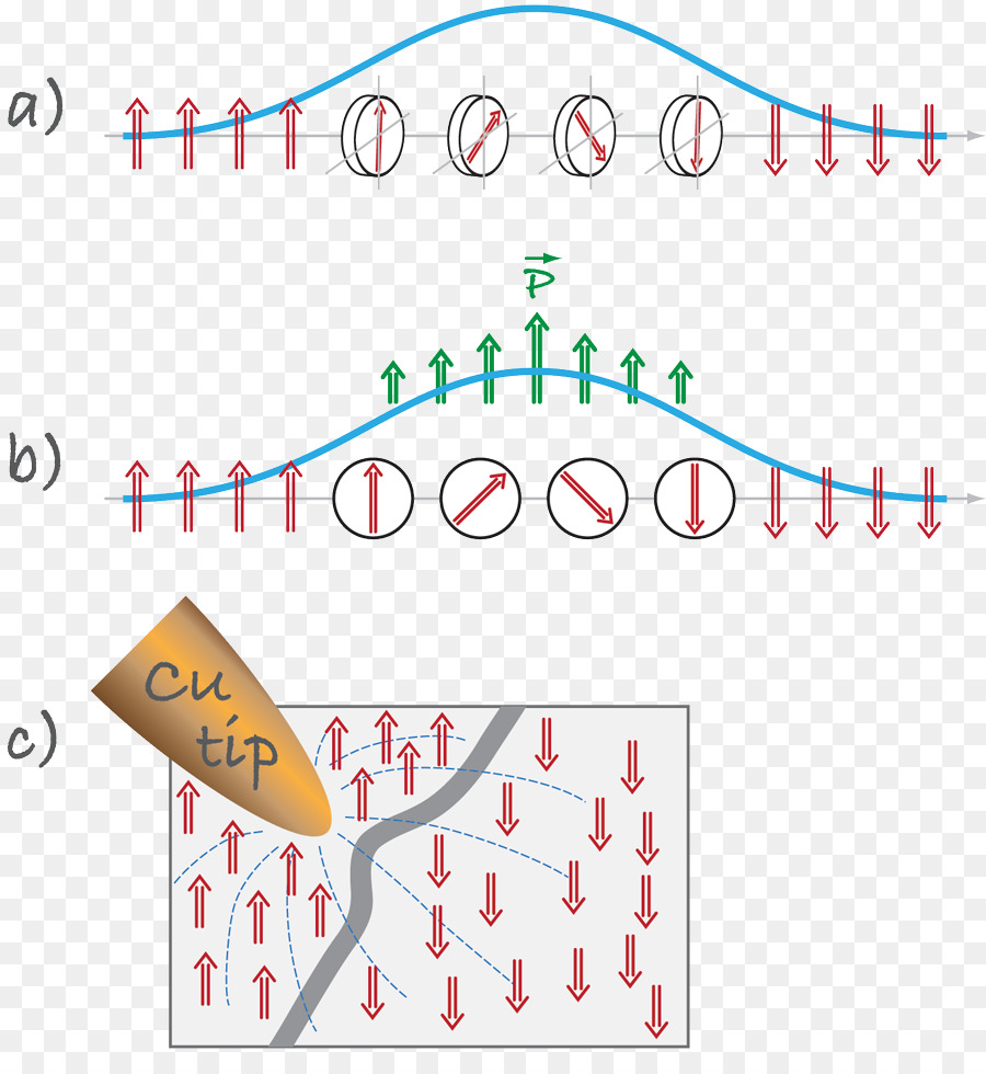 Spin，Multiferroics PNG