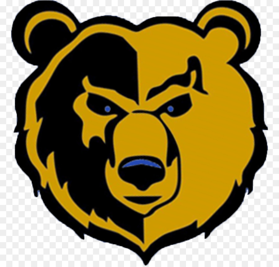 Shelbyville Lycée，California Golden Bears De Football PNG