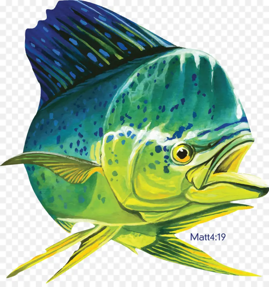 L Excitation，Coryphènes De Pêche PNG