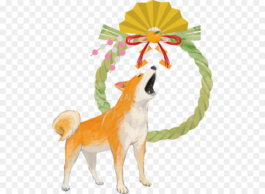 Race De Chien，Chien PNG