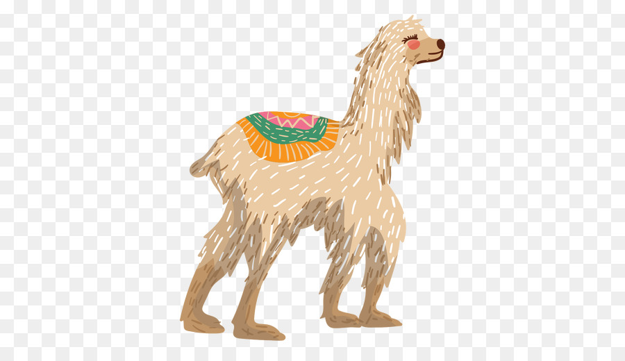 Lama，Laine PNG