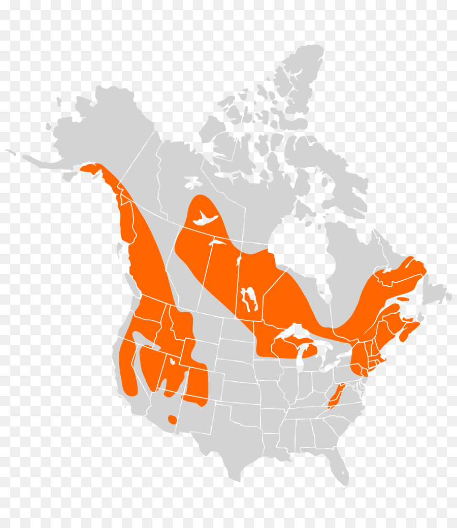 Canada，états Unis D Amérique PNG