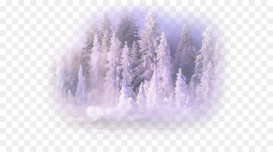 Forêt Enneigée，Hiver PNG