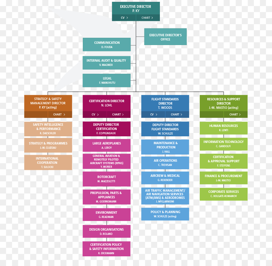 Organigramme，Structure PNG