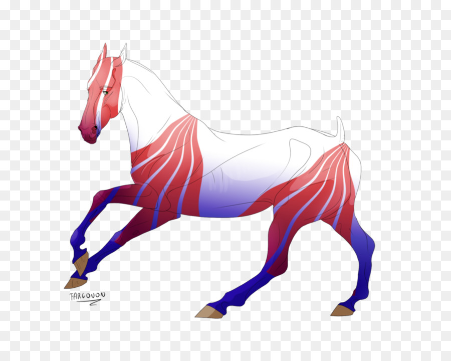 Mustang，Crinière PNG