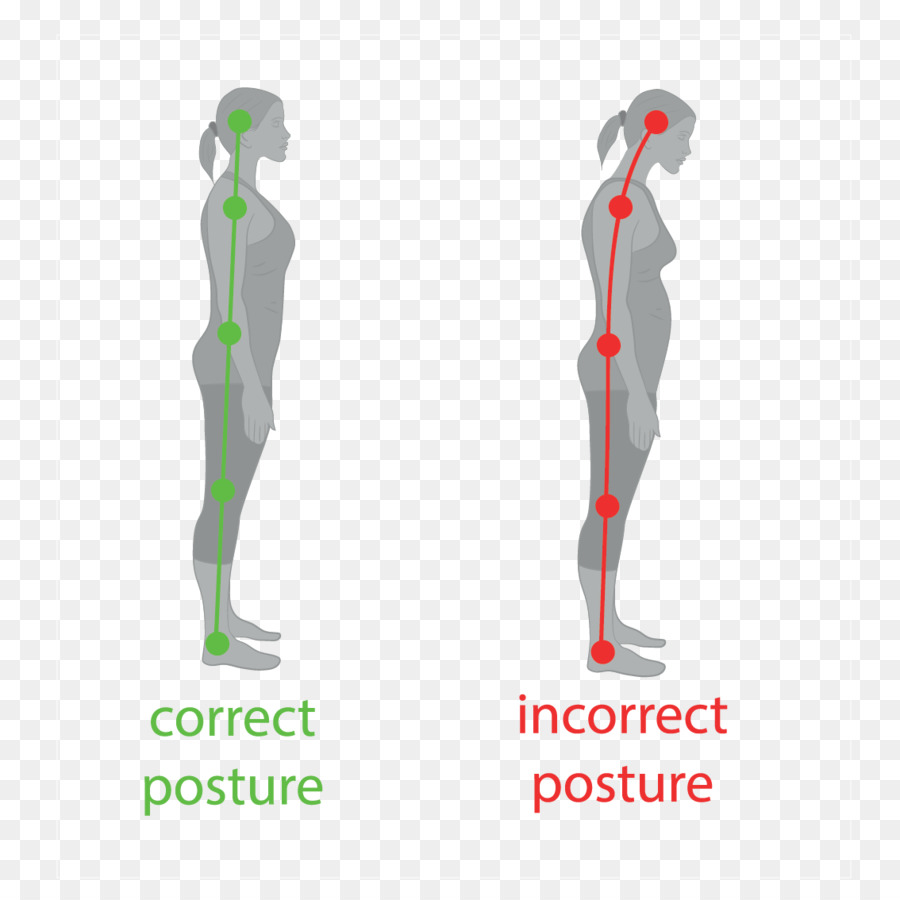 Posture，Correct PNG