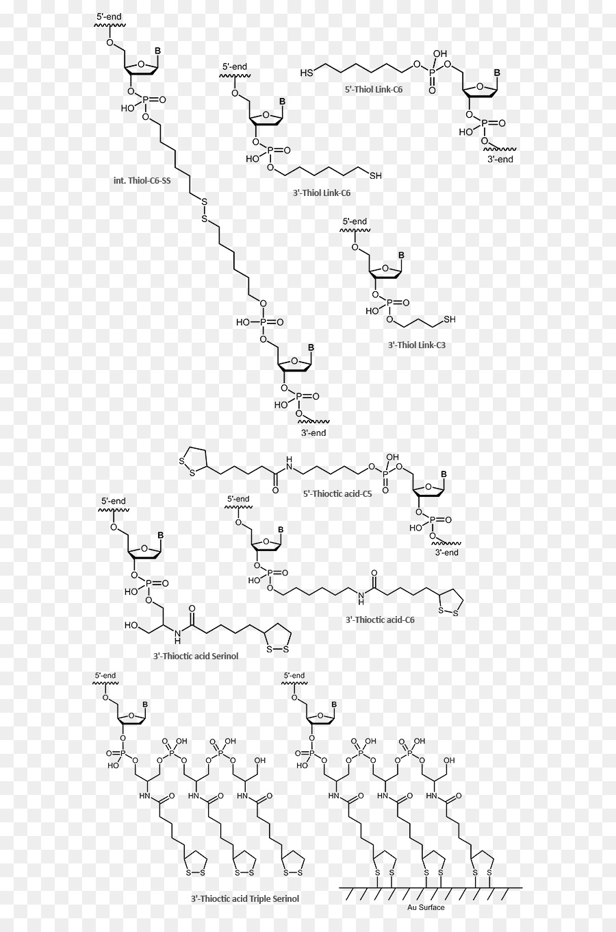 Le Ferrocène，L électrochimie PNG