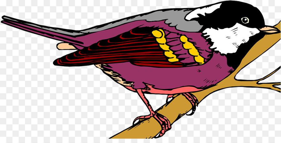 Bec，Oiseau PNG