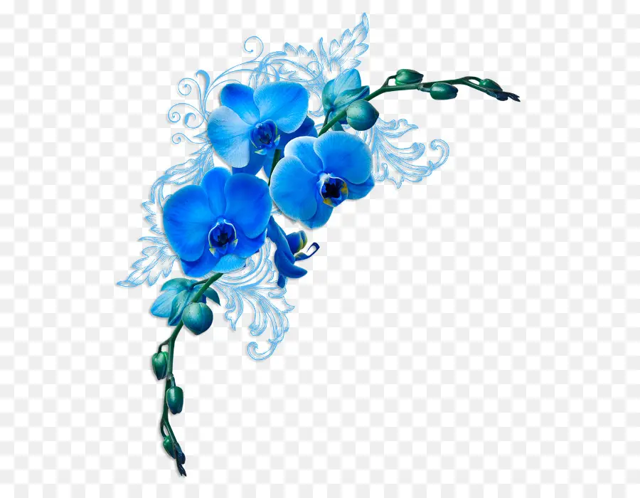 Orchidées Bleues，Pétales PNG