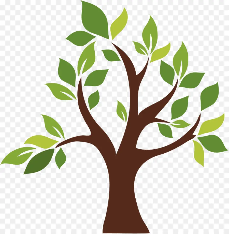 Arbre，Feuilles PNG