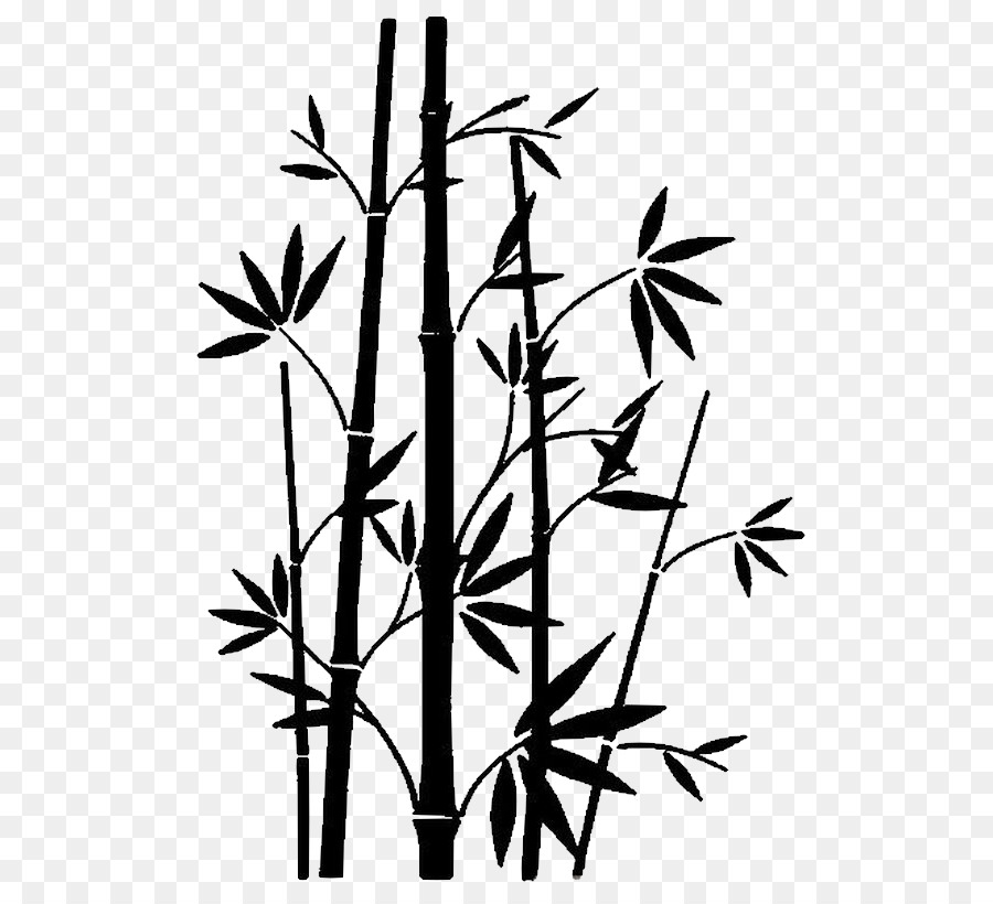  Bambou Dessin Noir  Et Blanc Illustration De Minimalistic 