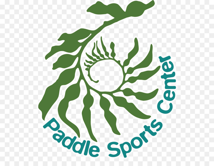 Sports De Pagaie Centre，Paddleboarding Debout PNG
