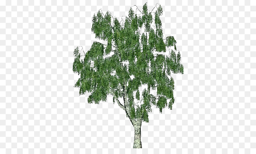 Arbre Vert，Nature PNG