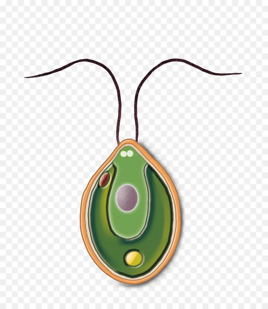 Pendentif Vert，Bijoux PNG