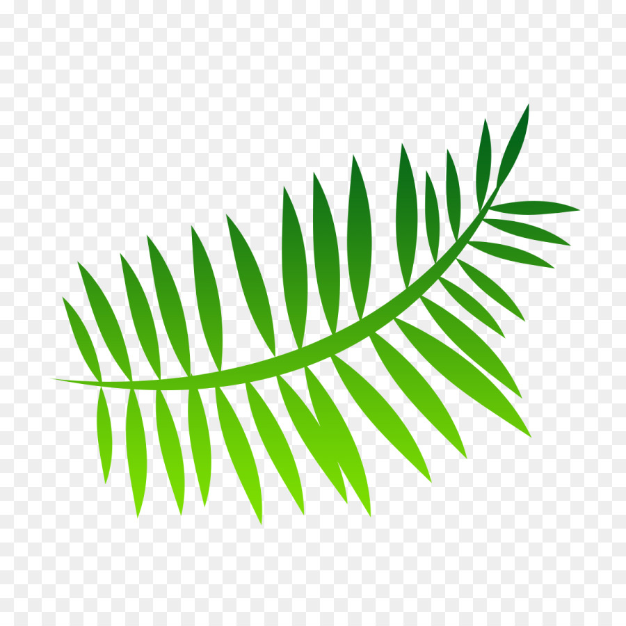 Feuille，Nature PNG