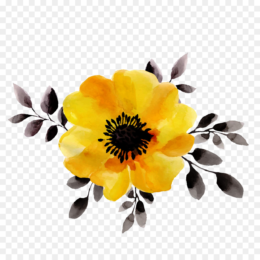 Fleur Jaune，Fleur PNG