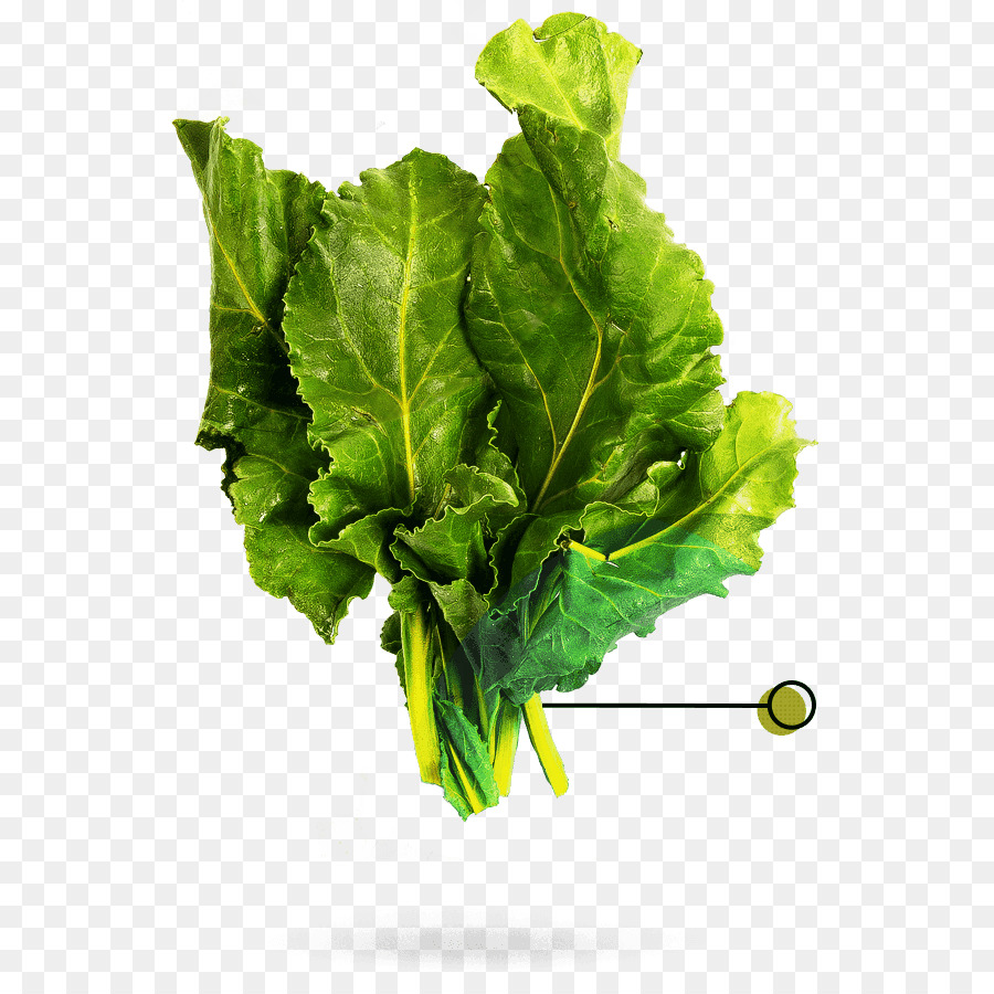 Laitue Romaine，Frites PNG