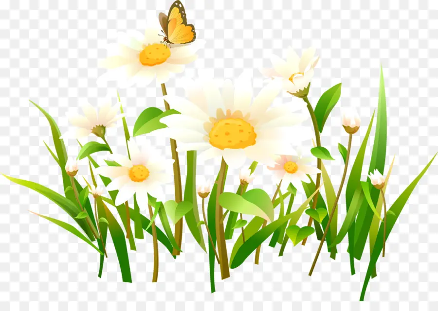 Fleurs Et Herbe，Papillon PNG