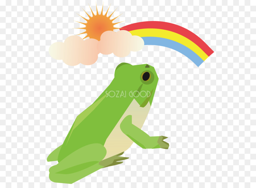 Grenouille，Rainette PNG