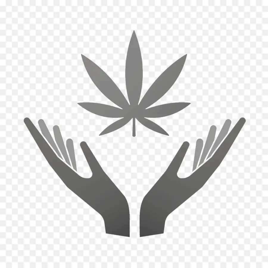 Feuille De Cannabis，Mains PNG