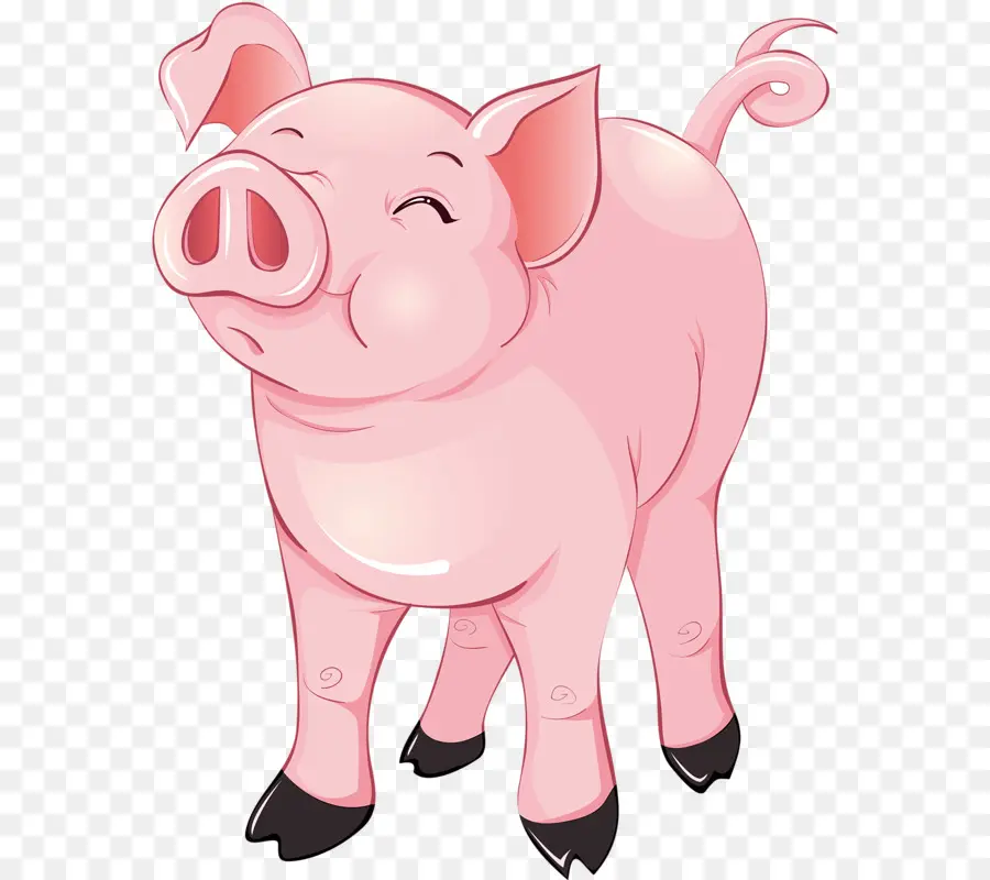 Cochon，Mignon PNG