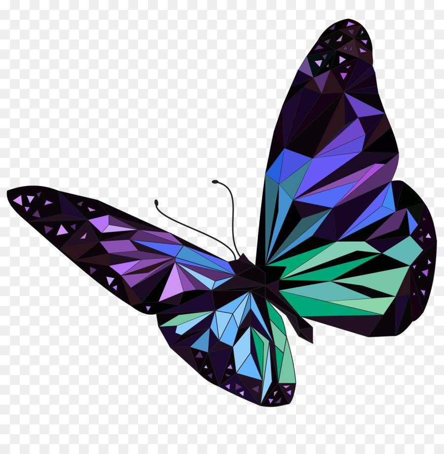 Papillon Coloré，Ailes PNG