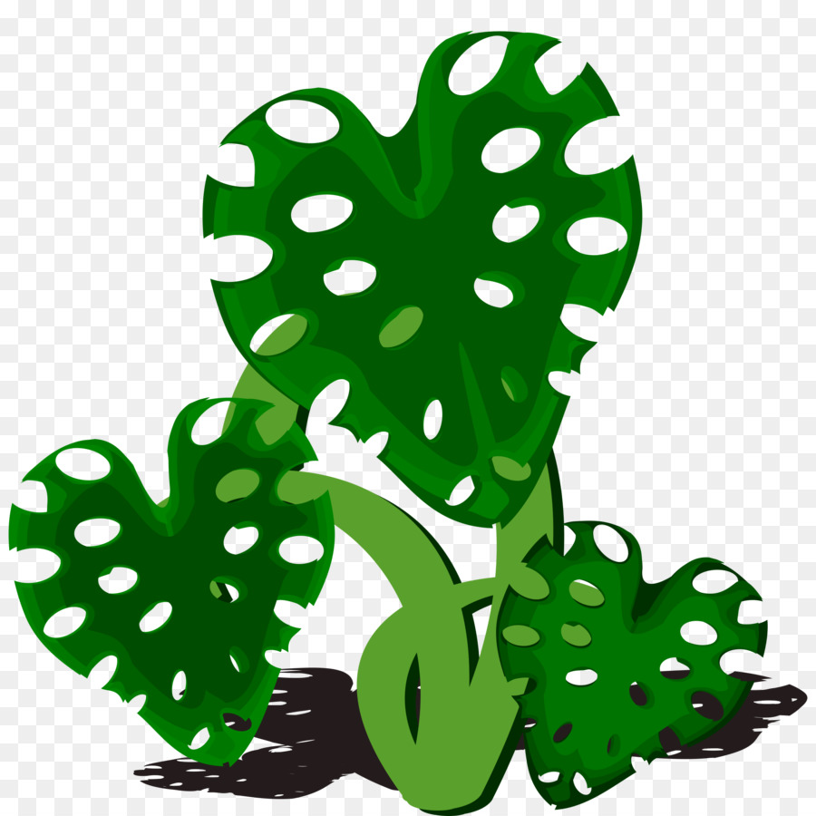 Philodendron，Feuille PNG