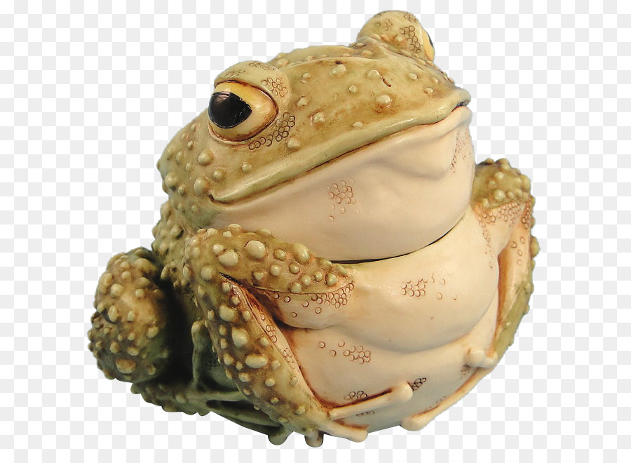 Crapaud，Animal PNG