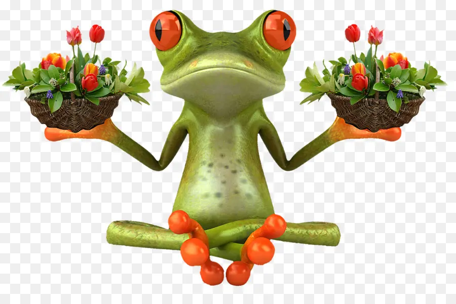 Grenouille Avec Des Fleurs，Amphibie PNG