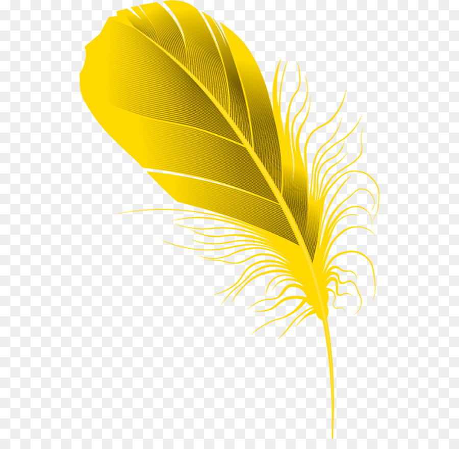 Plume，Dessin PNG