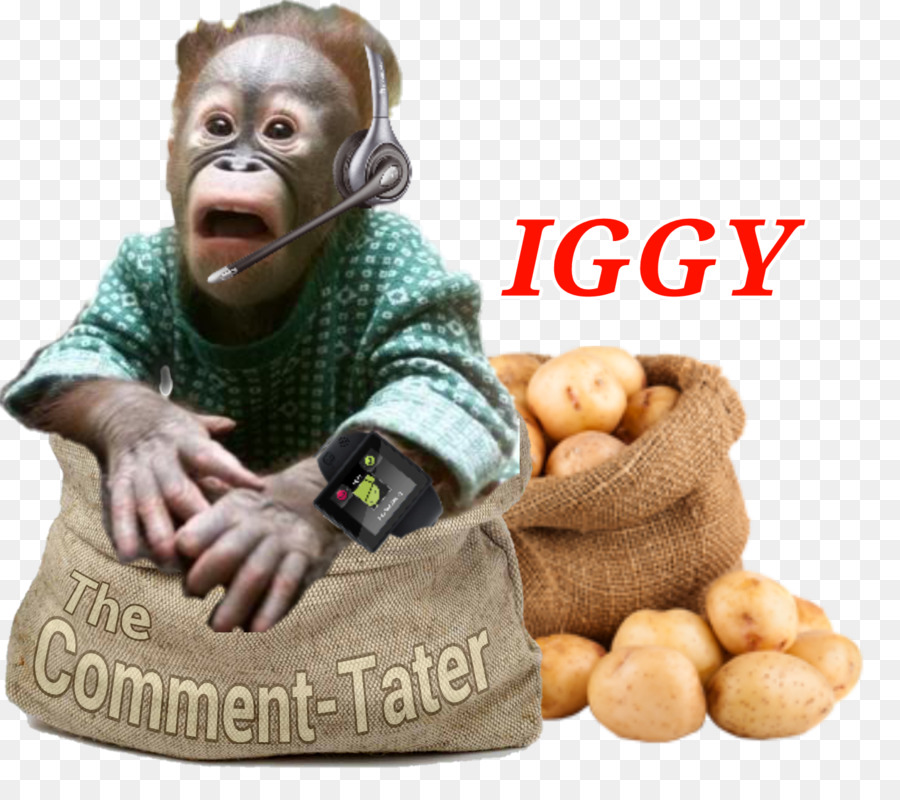 Singe，Gorille PNG