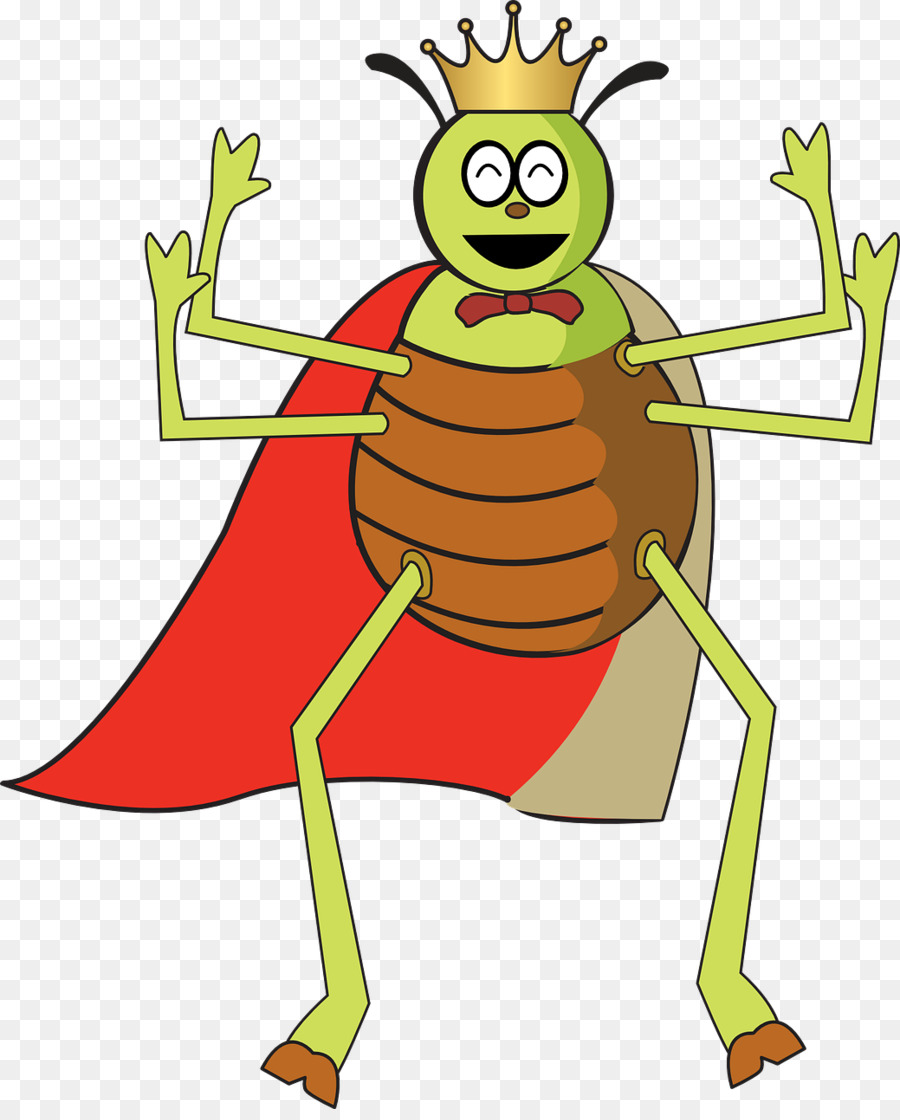 Roi Des Insectes De Dessin Animé，Insecte PNG