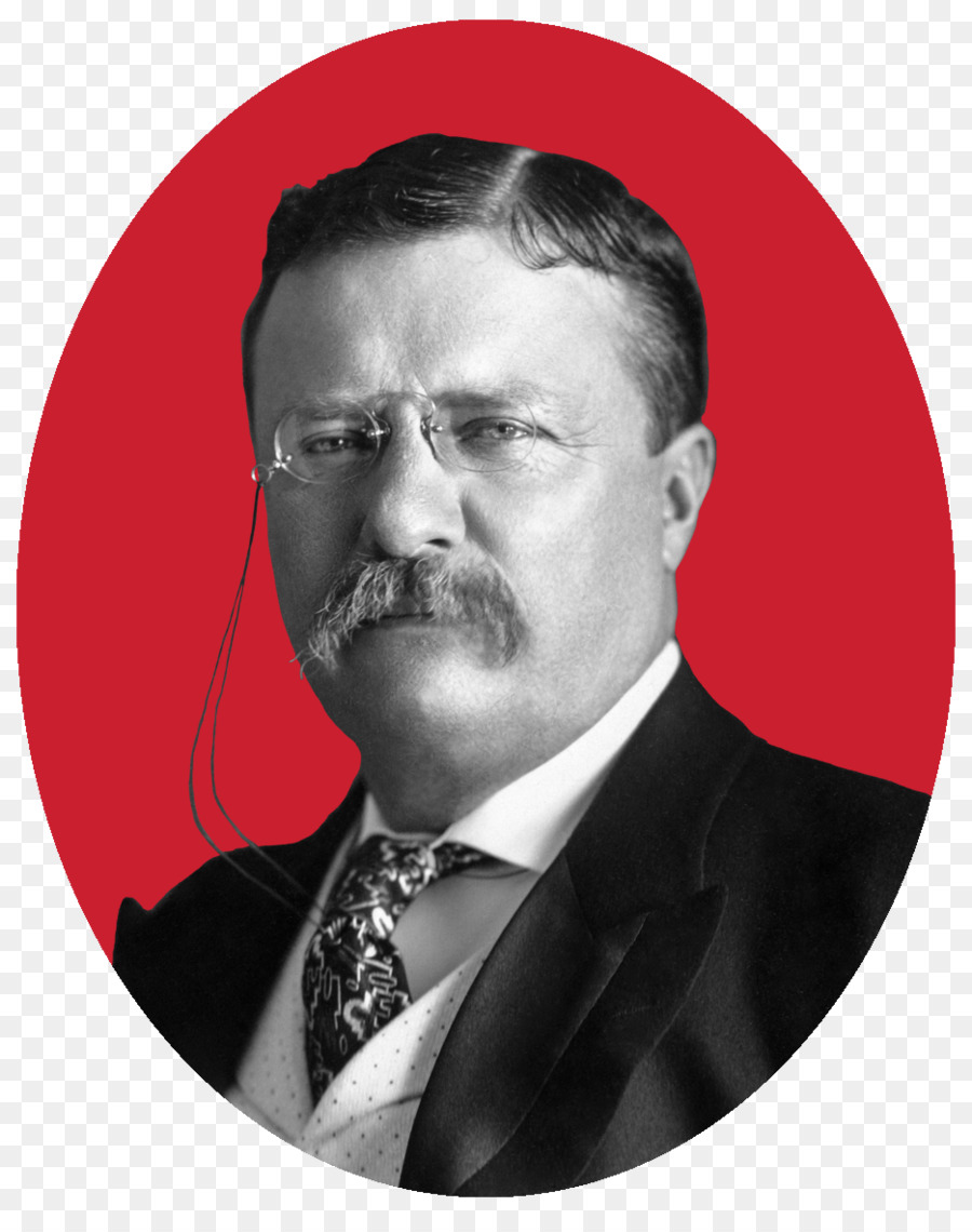 Theodore Roosevelt，états Unis D Amérique PNG